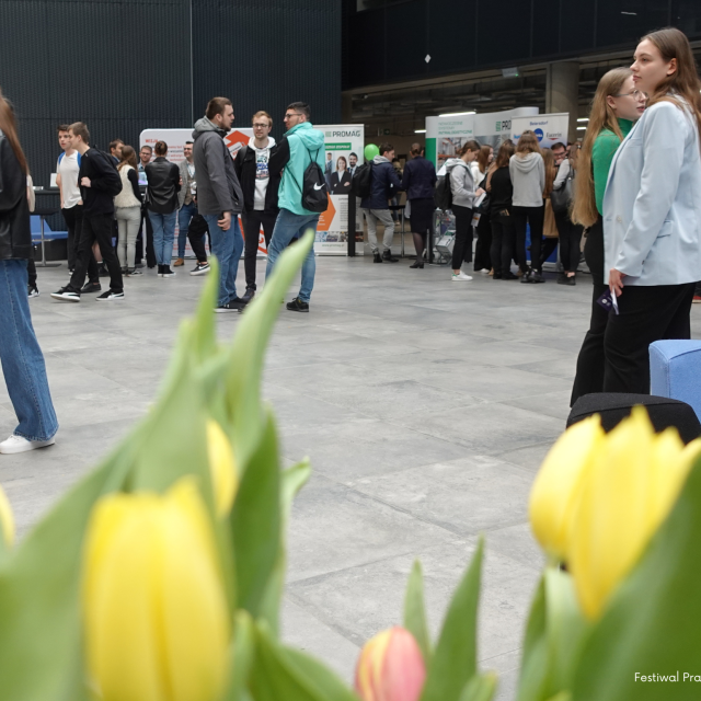 Festiwal Praktyk, Staży i Prac Dyplomowych 2023